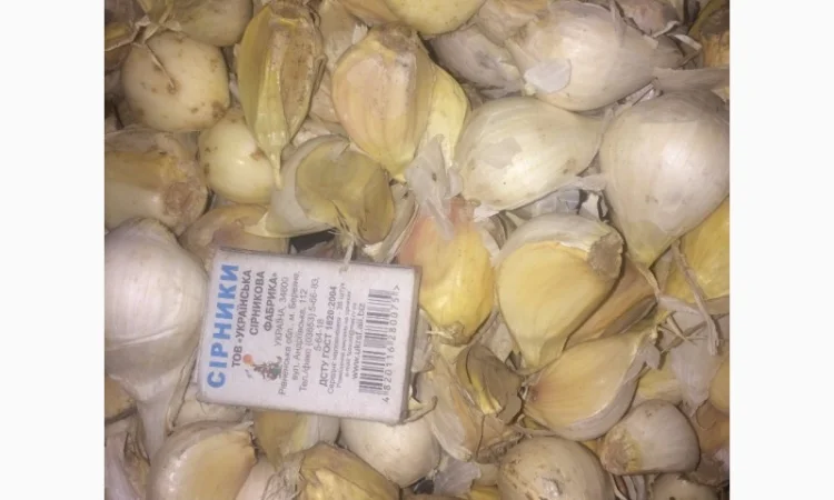 Чеснок, сорт Рокамболь - фото № 1