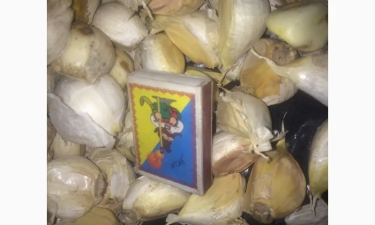 Чеснок сорту Рокамболь на продажу - фото № 2