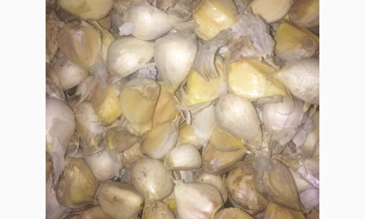 Чеснок, сорт Рокамболь - фото № 2