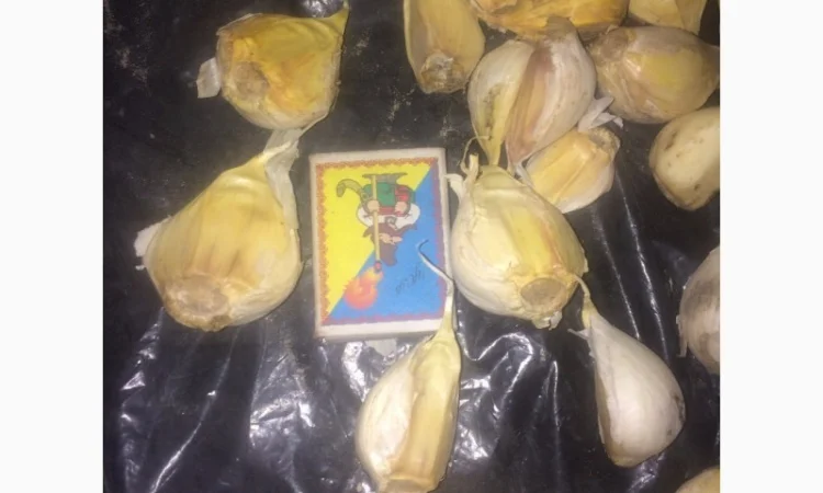 Чеснок, сорт Рокамболь - фото № 3