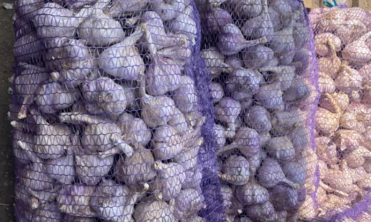 Закупка чеснока оптом - фото № 1