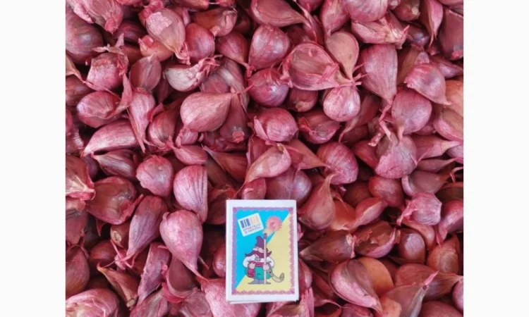 Продам часник озимий сорт Любаша (друга репродукція) - фото № 1