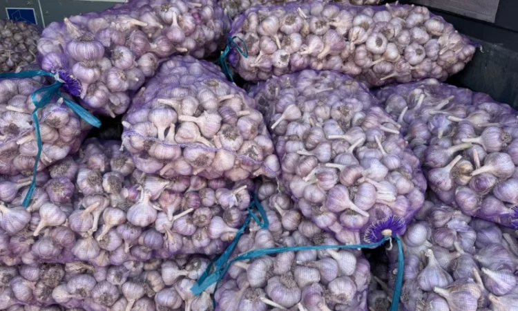 Продажа чеснока 3/4/5+ калибра - фото № 1