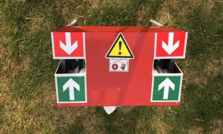 Семена чеснока Софіївський - фото № 2