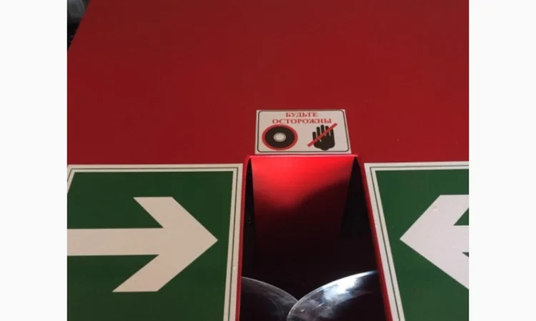 Продаж елітного чесноку сортів Лідер та Софіївський - фото № 4