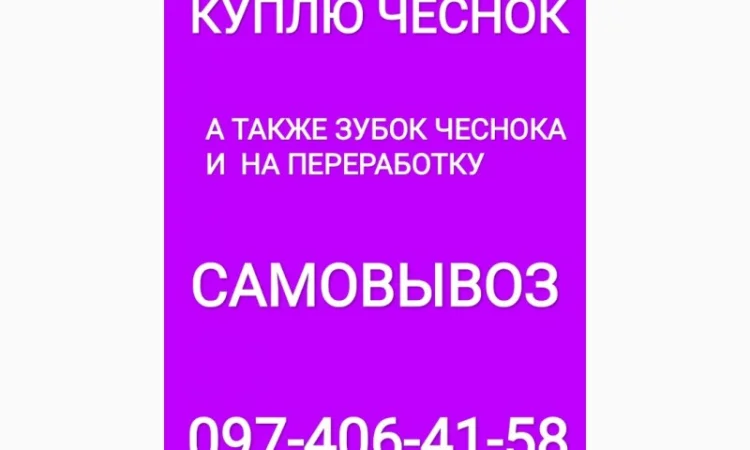 Куплю чеснок крупный средний мелкий - фото № 1