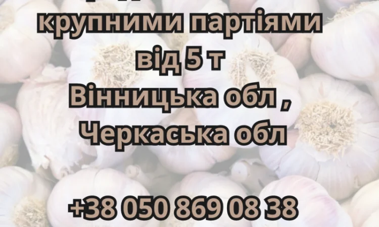 Чеснок оптом от 5 тонн - фото № 1