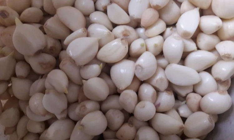 Продам часник очищений в вакуумній упаковці та насипом - фото № 1