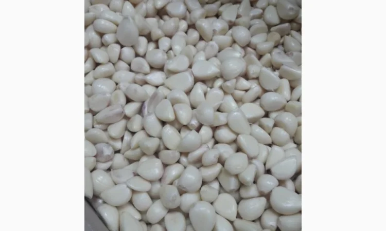 Продам часник очищений в вакуумній упаковці та насипом - фото № 3