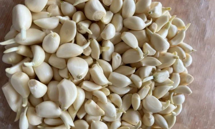 Продам часник очищений в вакуумній упаковці та насипом - фото № 4