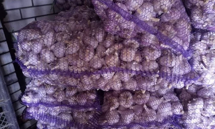 Куплю ОЗИМИЙ, ЯРИЙ часник, оптова ціна, великий об'єм - фото № 1