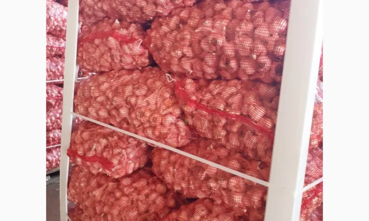 Vând usturoi origine spaniol calitatea 1 comercial calitatea 2 industrial - фото № 1