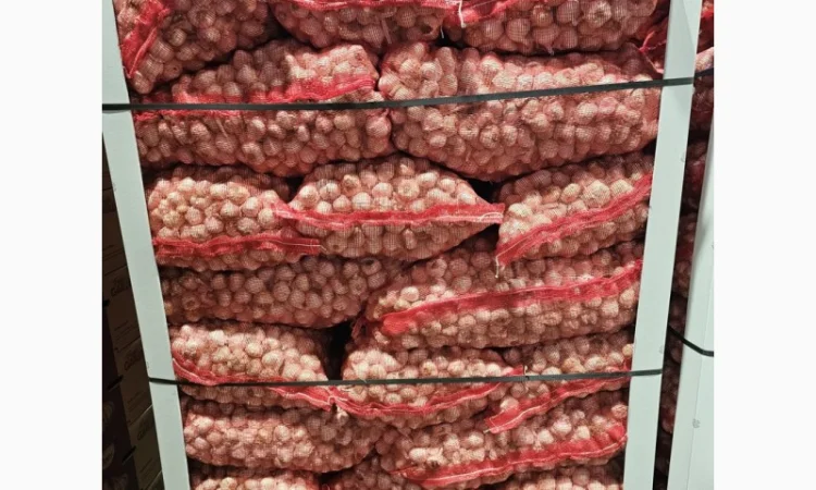 Vând usturoi origine spaniol calitatea 1 comercial calitatea 2 industrial - фото № 4