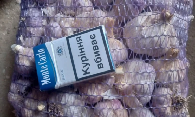 Продам товарный чеснок сорт любоша есть объём - фото № 1