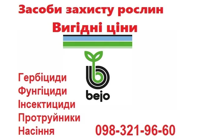 РАСПРОДАЖА остатков семян овощей Bejo (Голландия), Vilmorin (Франция) по хорошим ценам - фото № 1