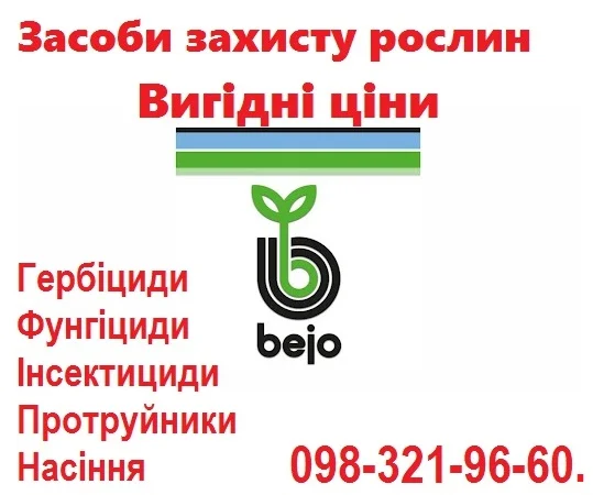 Продам фирменные качественные семена овощей - недорого, Bejo, Vilmorin, Никерсон цваан - фото № 1