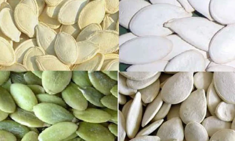 Семечку тыквенную (украинка) - фото № 1