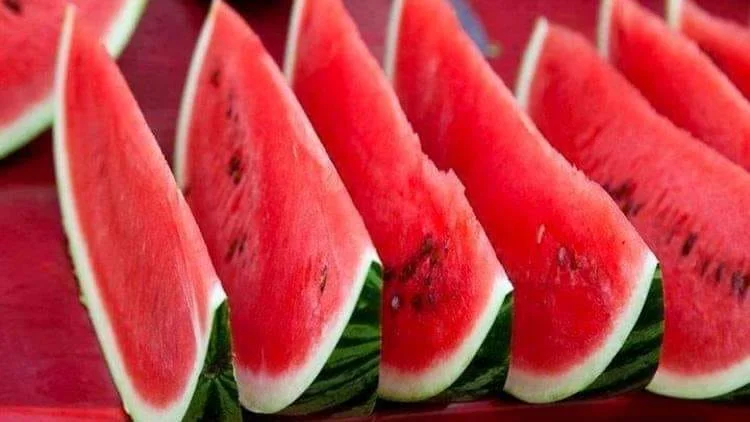 Арбузы Арбузы - фото № 1