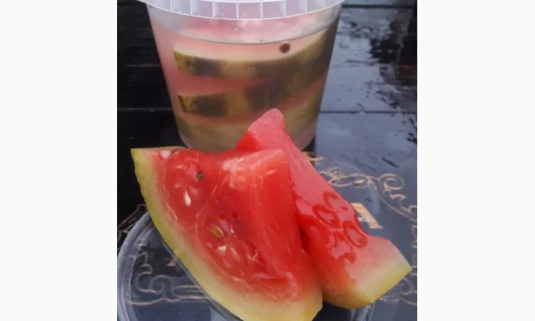 Продам маринованный АРБУЗ - фото № 1