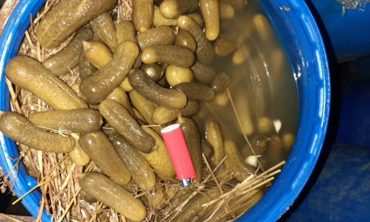 Продам маринованный АРБУЗ - фото № 6