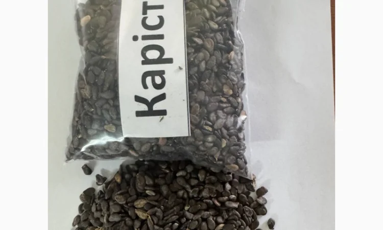 Насіння кавунів від виробника - фото № 2