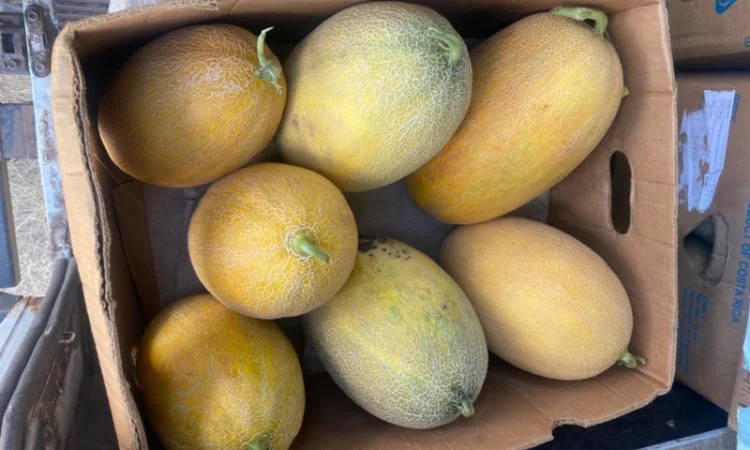 Куплю/Продам - фото № 1