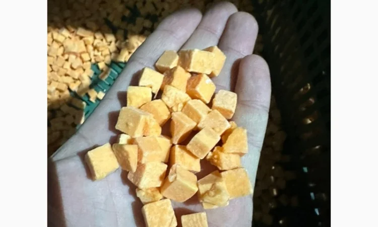 Продам гарбуз заморожений. Нарізка кубиком - фото № 2