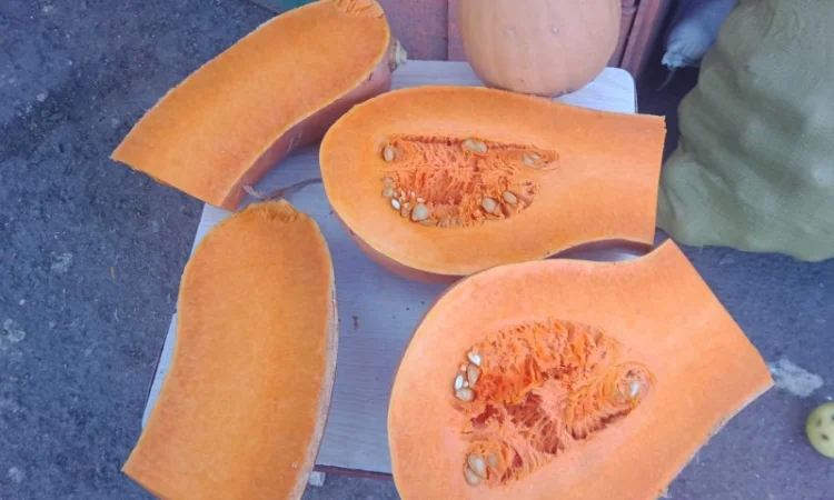 Продам гарбузы - фото № 1