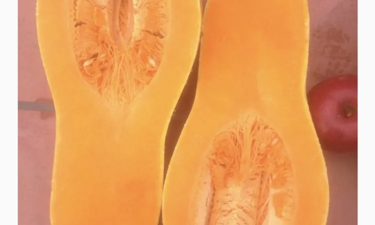 Продам гарбуз - арабатський плоди від 0, 5 кг -15 кг - фото № 4