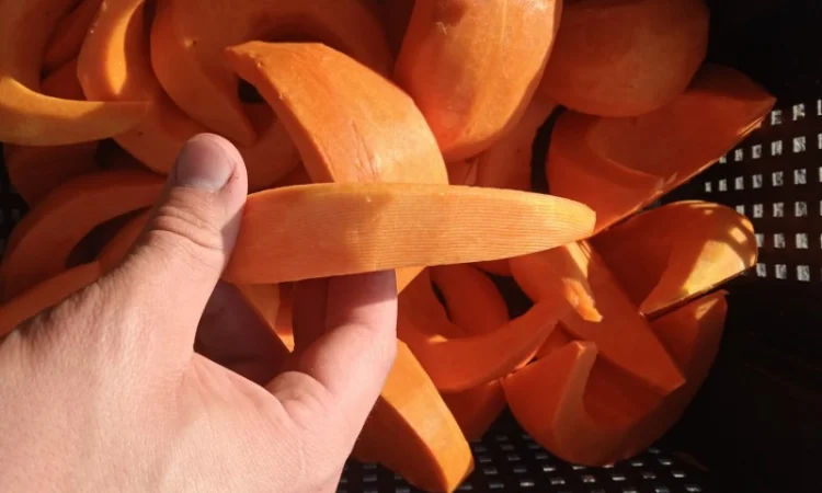 Продам чищенную тыкву оптом - фото № 3