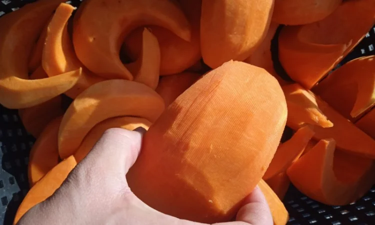 Продам чищенную тыкву оптом - фото № 4