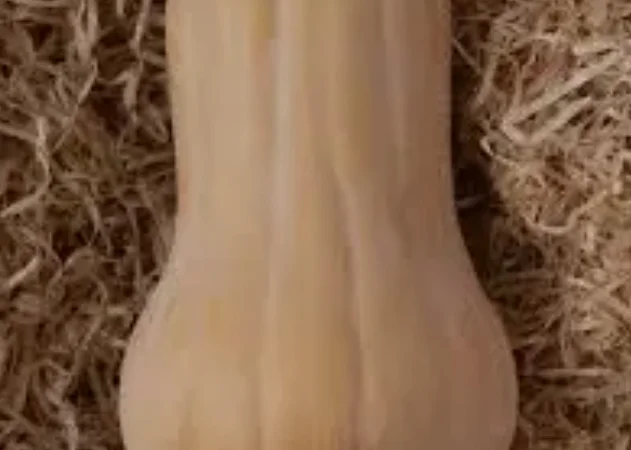 Продам овочі гарбуз баттернат, хоккайдо - фото № 6