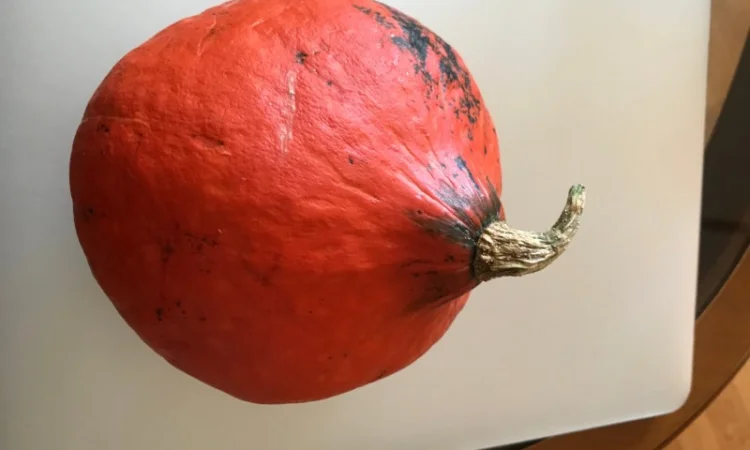 Продам тыкву - фото № 1