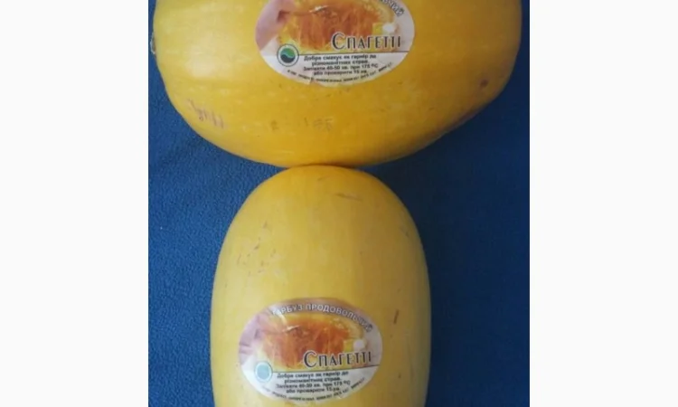 Продам тыкву - фото № 9