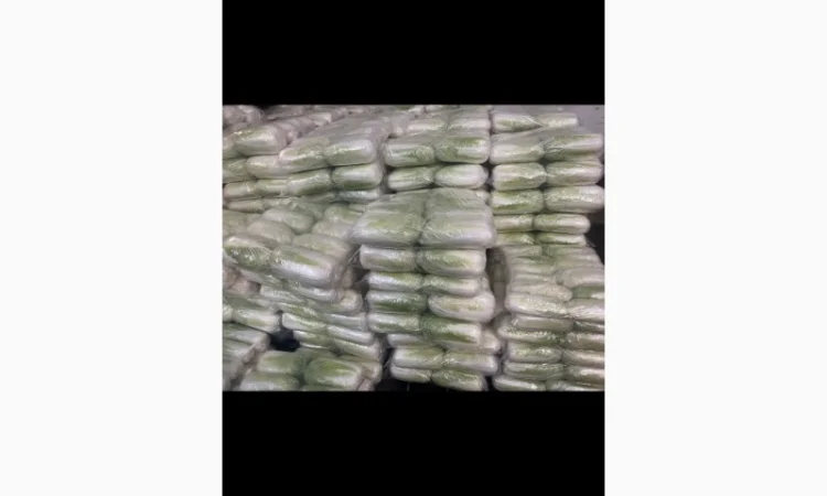 Продажа пекінської капусти Гібрид Білко - фото № 1