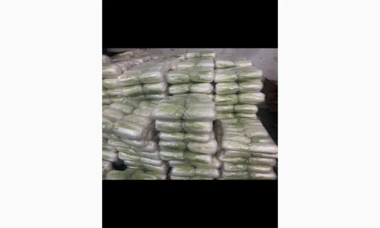 Продажа пекінської капусти Гібрид Білко - фото № 3