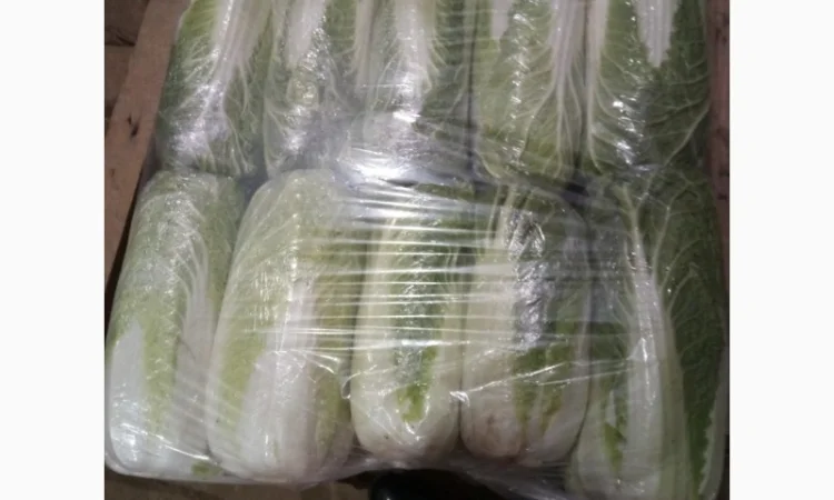 Пекинская капуста от поставщика, отгрузка от 5 тонн - фото № 1