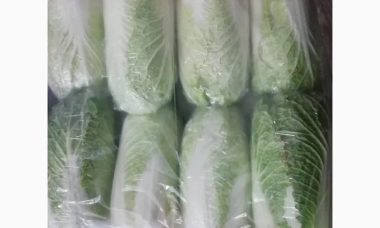 Пекинская капуста от фермера. Минимум 5 тонн - фото № 1