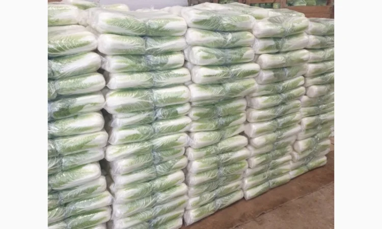 Пекінська капуста - фото № 1