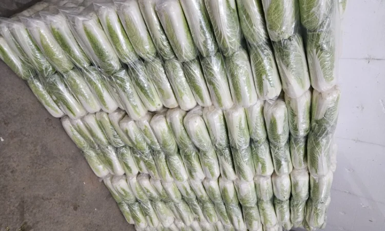 Продажа Пекінської капусти оптом - фото № 5