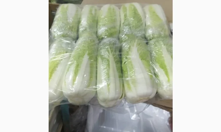 Пекінська капуста - фото № 1