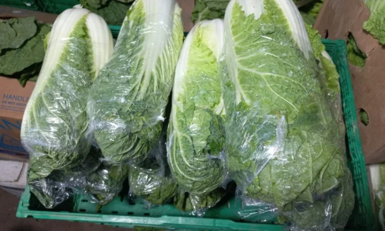Пекінська капуста - фото № 2