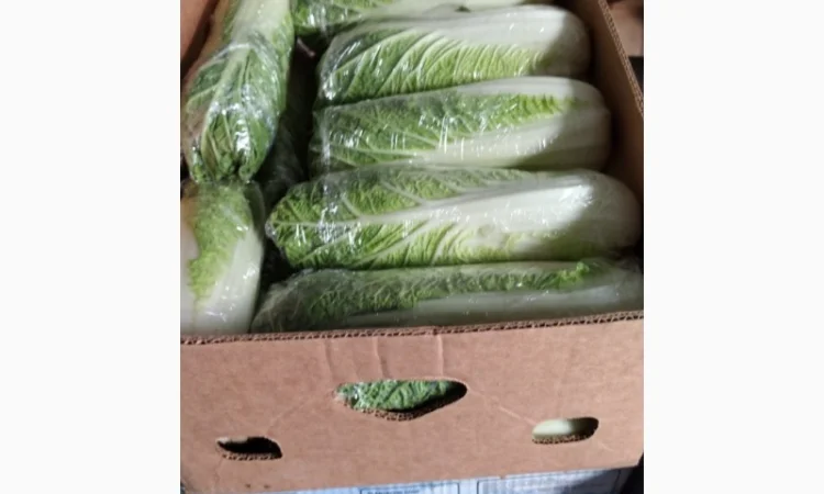 Пекінська капуста - фото № 5