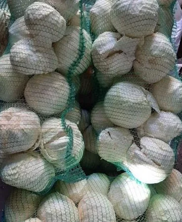 Куплю якісну капусту оптом - фото № 1