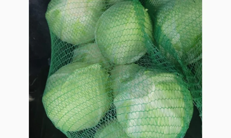 Капуста товарна оптом - фото № 1