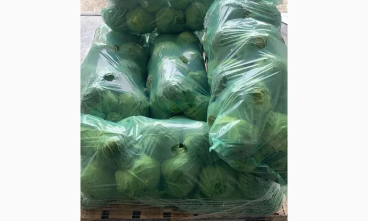Капуста молодая - фото № 1