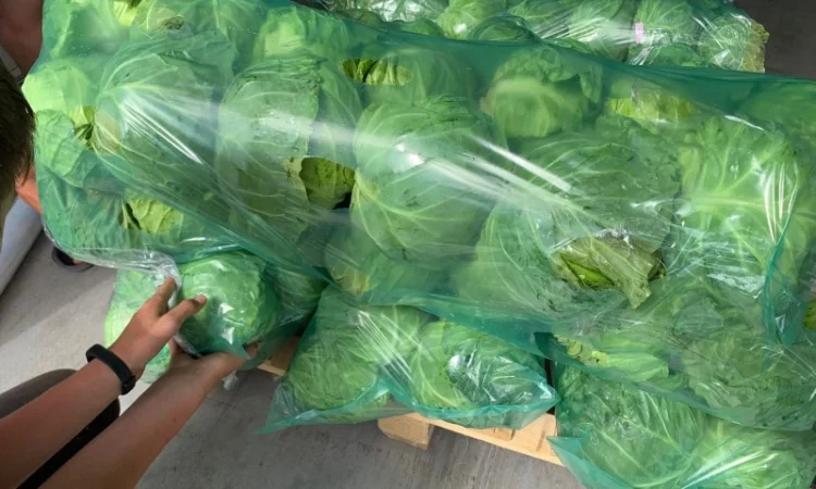 Капуста молодая - фото № 5