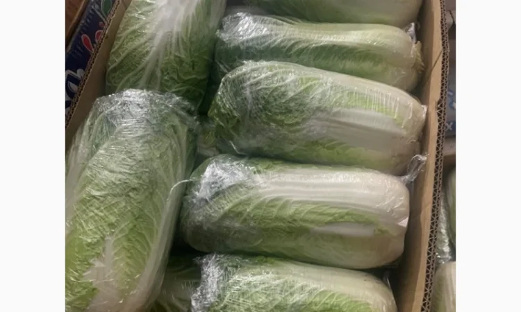 Пекинская капуста - фото № 3