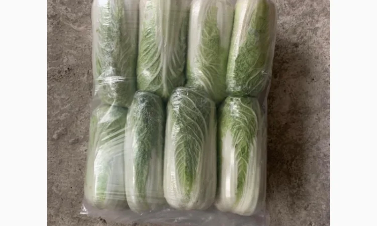 Пекинская капуста - фото № 4
