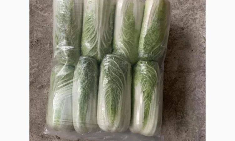 Пекинская капуста - фото № 5